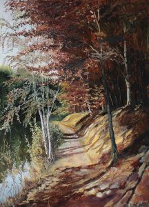 Autumn woods original oil painting